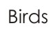 Birds
